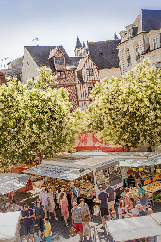 Un Printemps Saumur Et Ses Environs Saumur Val De Loire Tourisme